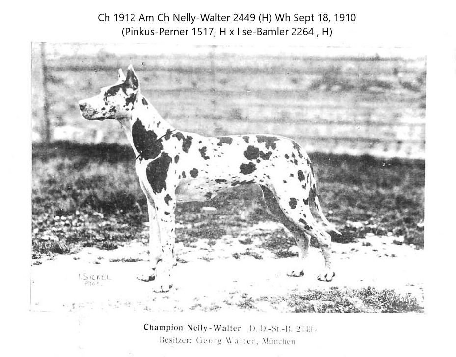Nelly-Walter